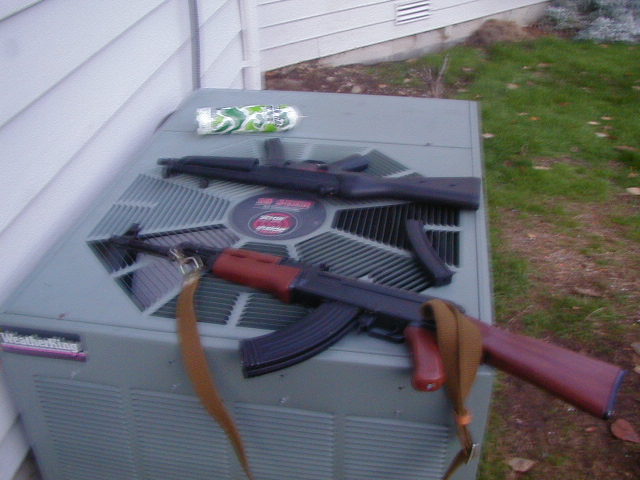 aegs.jpg